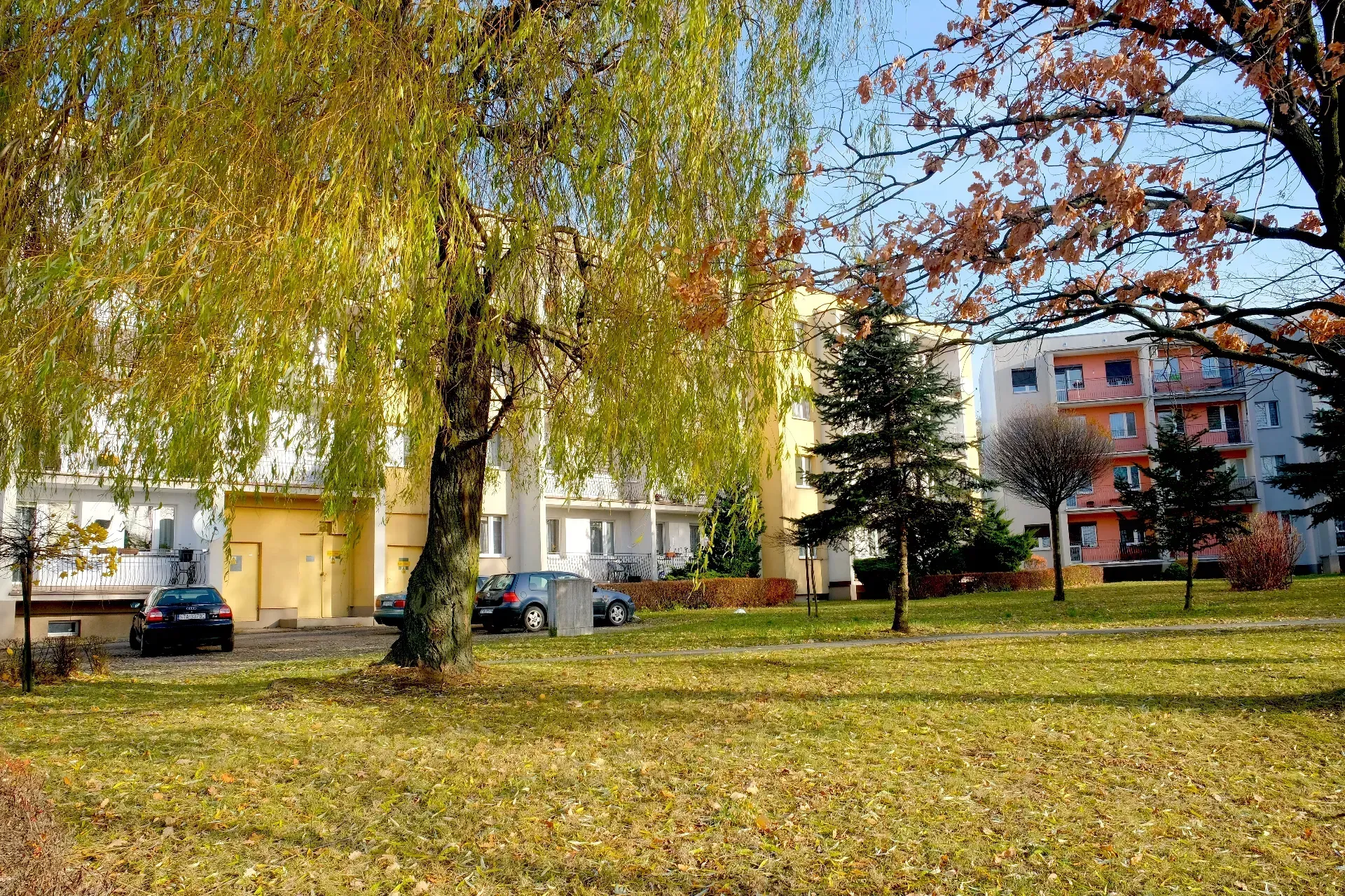 3 pokoje na ul.Włoskiej 2