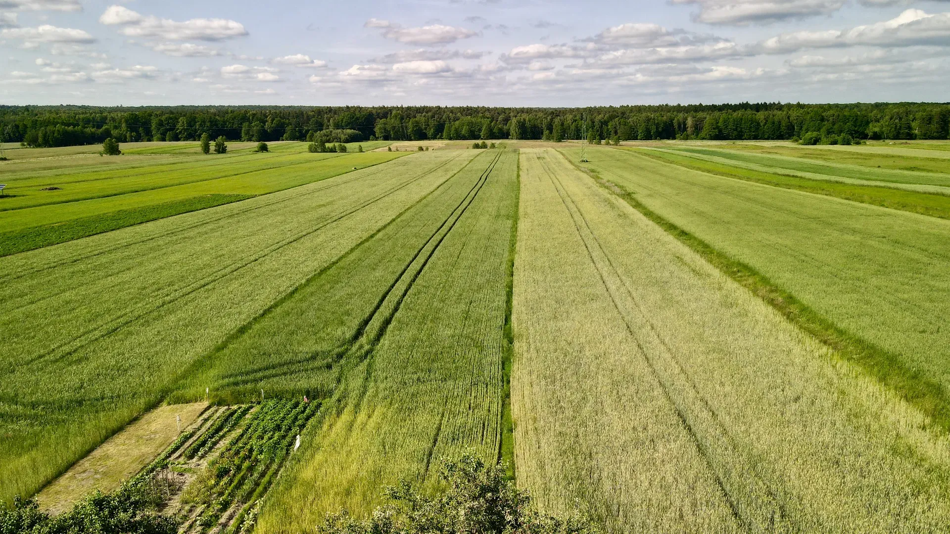 Dwurodzinny dom z dużą działką ! 8